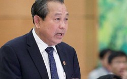 Phó Thủ tướng Trương Hòa Bình thông tin vụ cựu trưởng thôn tự thiêu