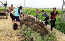 "Vàng đen" cho cây: Việt Nam lãng phí 6 triệu tấn/năm