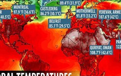 Báo động đợt nắng nóng kỷ lục chưa từng thấy ở khắp nơi trên thế giới