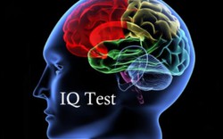 6 câu hỏi IQ làm khó cả những người thông minh nhất