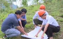 Phú Thọ: Đua nhau phá rừng chiếm đất lâm nghiệp