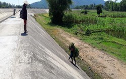 Lạ kỳ ở Hà Tĩnh: Nông dân leo dốc đứng đi làm ruộng