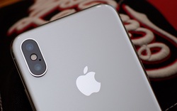 iPhone 2019 có 3 camera chính - cú đánh lớn của Apple với AR