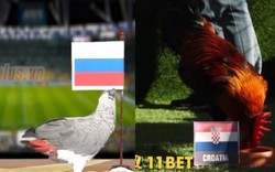 Dự đoán World Cup Nga vs Croatia: Khó cho các nhà tiên tri động vật