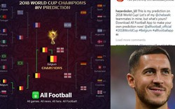 Vượt bạch tuộc Paul, Eden Hazard trở thành thiên tài dự đoán World Cup