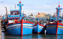 Để xảy ra sai sót, Ban quản lý cảng cá Quy Nhơn bị kiểm điểm