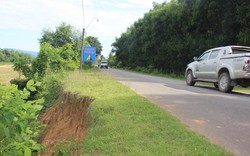 Bình Định: “Hà bá” cuốn trôi cây cối, dọa nuốt đường tỉnh lộ