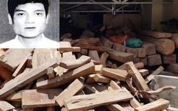 Kiểm lâm nói gì về số gỗ quý tại nhà trùm ma túy Nguyễn Thanh Tuân?