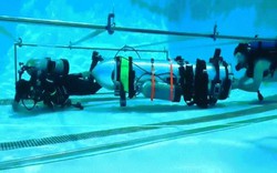 Giải cứu đội bóng Thái Lan: Hạ thủy tàu ngầm mini đóng trong 8 tiếng