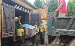 Quảng Ninh: Thu giữ, tiêu hủy hơn 1.000 con chim sâm cầm nhập lậu