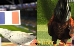 Dự đoán World Cup Pháp - Bỉ: Tranh cãi từ lựa chọn của các linh vật