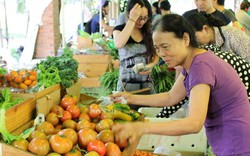 Nông sản Việt “lo sốt vó” trước cuộc chiến thương mại Trung - Mỹ