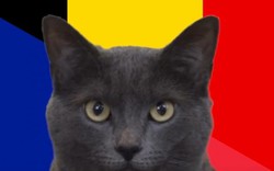 Mèo tiên tri Cass dự đoán kết quả Pháp vs Bỉ: Dàn sao sốc nặng