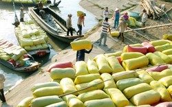 Trung Quốc thay đổi thuế nhập khẩu gạo: Việt Nam có bị ảnh hưởng?