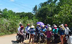 Quảng Ngãi:  Chỉ đạo khẩn vụ rác thải ngập thành phố