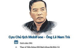 Ông Lê Nam Trà, Phạm Đình Trọng có trách nhiệm gì trong định giá AVG?