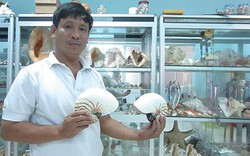 "Bộ sưu tập" hơn 1.000 loài ốc biển cổ, quý hiếm của HLV bơi lặn