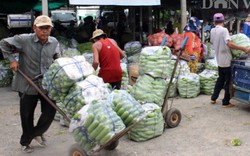 "Đột nhập" chợ đầu mối nông sản tự phát nhộn nhịp nhất đất Tây Ninh