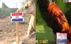 Dự đoán chung kết World Cup Pháp - Croatia: Linh vật "tiên tri" sốc