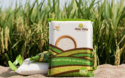 ThaiBinh Seed đưa hệ thống máy sấy nông sản hiện đại bậc nhất thế giới vào hoạt động