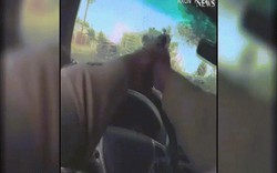 Mỹ: Cảnh rượt đuổi, đấu súng trên xe cảnh sát như phim hành động