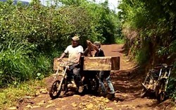Clip: Lâm tặc dùng xe máy độ chế ngang nhiên chở gỗ ra khỏi rừng
