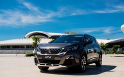 Peugeot tạo “cơn sốt” cho phân khúc SUV/CUV châu Âu