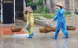 Chạnh lòng những gánh hàng rong trong ngày bão nổi