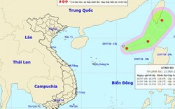 Bão Sơn Tinh vừa qua, Biển Đông lại xuất hiện áp thấp nhiệt đới