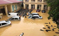 Phú Thọ: Nghìn ngôi nhà bị lũ nhấn chìm, dân tán loạn leo lên mái nhà