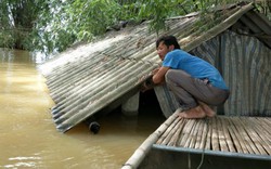Dân Ninh Bình liều mình vượt lũ cứu tài sản bị nhấn chìm trong nước