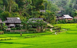 Lên Sơn La ngắm Vân Hồ - 'người con gái đẹp' vùng Tây Bắc