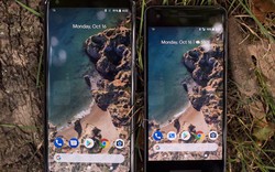 Pixel 3 và Pixel 3 XL sẽ phá vỡ giới hạn của Pixel 2