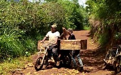 UBND tỉnh Gia Lai chỉ đạo kiểm tra vụ chở gỗ lậu giữa ban ngày