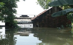 Hà Nội: Nước ngập ngấp nghé mái nhà, người dân sống cùng gà lợn
