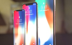 Màu sắc iPhone 2018 xuất hiện, không có màu đỏ