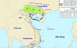 Lý giải đường đi hình vòng tròn kỳ lạ của “hậu duệ” bão số 3