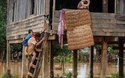 Công ty Hàn bị tố che giấu việc đập Lào sụt lún trước khi vỡ