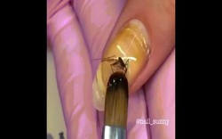 Nghệ thuật làm đẹp kiểu mới: Sơn móng tay bằng xác côn trùng