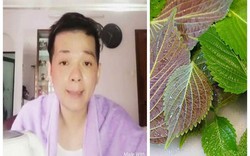 Nam ca sỹ Vũ Hà chia sẻ cách da trắng hồng bằng 10 nghìn đồng lá tía tô