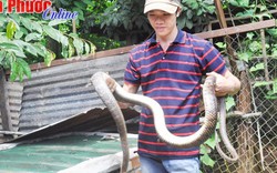 7 năm nuôi bầy rắn 500 con, bán 500-600 ngàn/kg, lời gấp 3