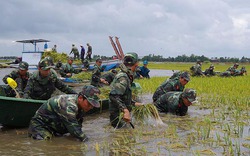 Vỡ đập thủy điện ở Lào: Nguy cơ gia tăng lũ ở Đồng bằng sông Cửu Long