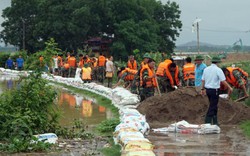 Hàng trăm người ngày đêm đóng bao cát hộ đê ở ngoại thành Hà Nội