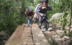 Phá rừng phòng hộ ở Bình Định:Dân biết, huyện và kiểm lâm ngỡ ngàng