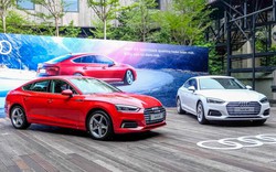 Triệu hồi xe Audi A5 Sportback và A6 tại Việt Nam