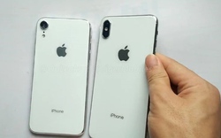 HOT: Đã có video trên tay iPhone 9 và iPhone X (2018)