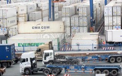Cục Hàng hải họp khẩn xử lý container "rác" tồn đọng tại các cảng biển