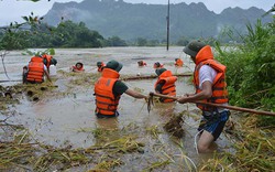 6.000 tỷ đồng đã trôi theo mưa lũ trong 7 tháng qua