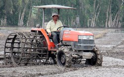 Các tỉnh ĐBSCL lên "kịch bản" để ăn chắc vụ lúa thu đông