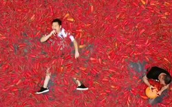 Hãi hùng cuộc thi ăn ớt chỉ xem thôi đã thấy cay ở Trung Quốc